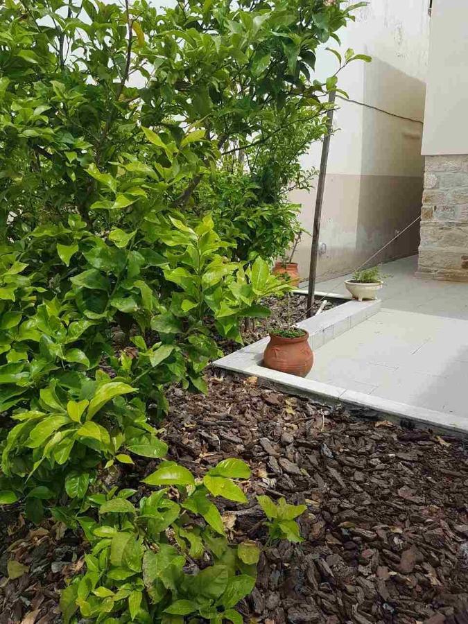 Mangoseaview Home1 نيا رودا المظهر الخارجي الصورة